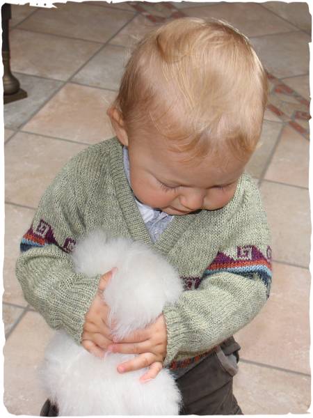 Achille Alpaka Strickjacke