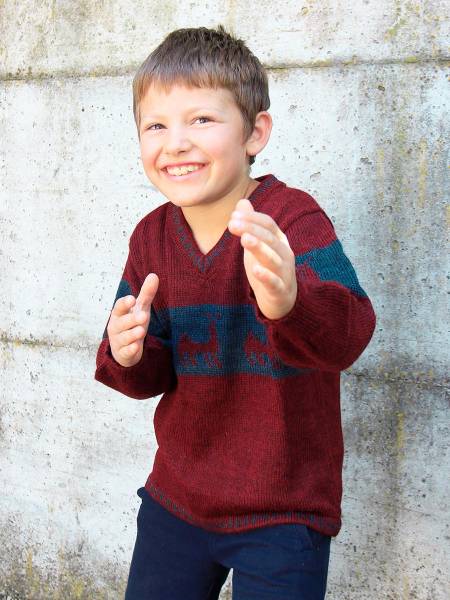 Attila Alpaka Pullover
