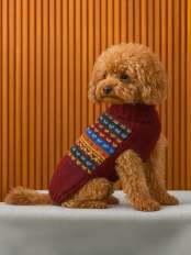 Dog wool sweater Lucky.