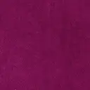 Fuchsie
