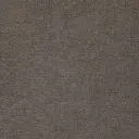 Beige cod.1