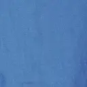hellblaue cod.1