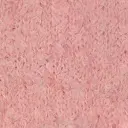 Babyrosa