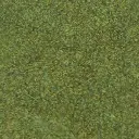 grün cod.1