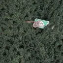 grün cod.1