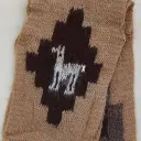 cod.54