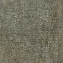 Salbeigrün cod.1