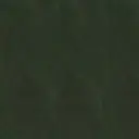 dunkelgrün - cod.10