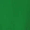 leuchtend grüne cod.2